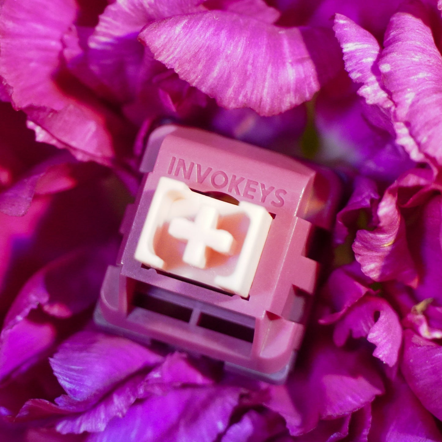 Alas x Invokeys Nightshade Silent Switches Closeup
