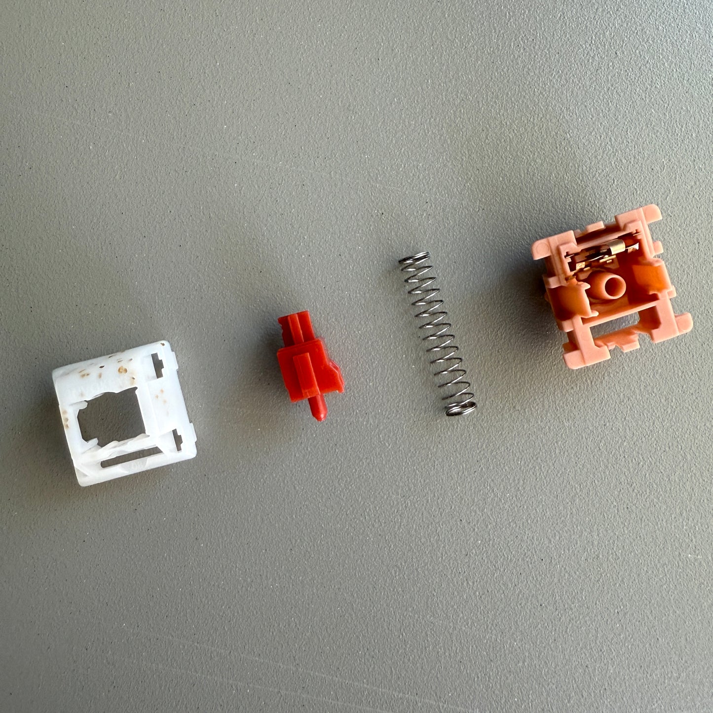 Goji Reserve Switches