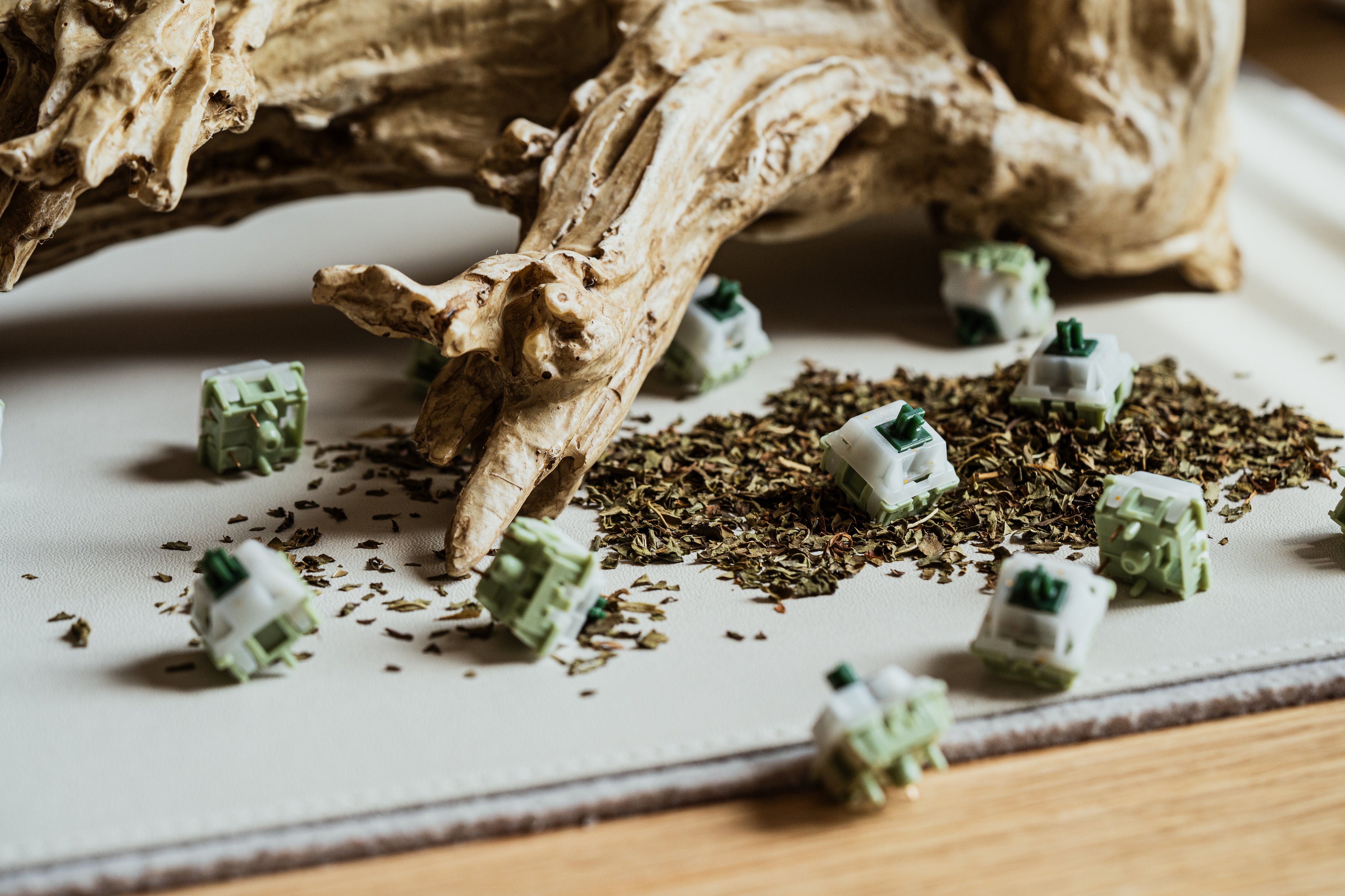 Matcha_Reserve_Product_Photo