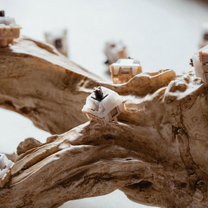 Hojicha Reserve Switches Product Photo