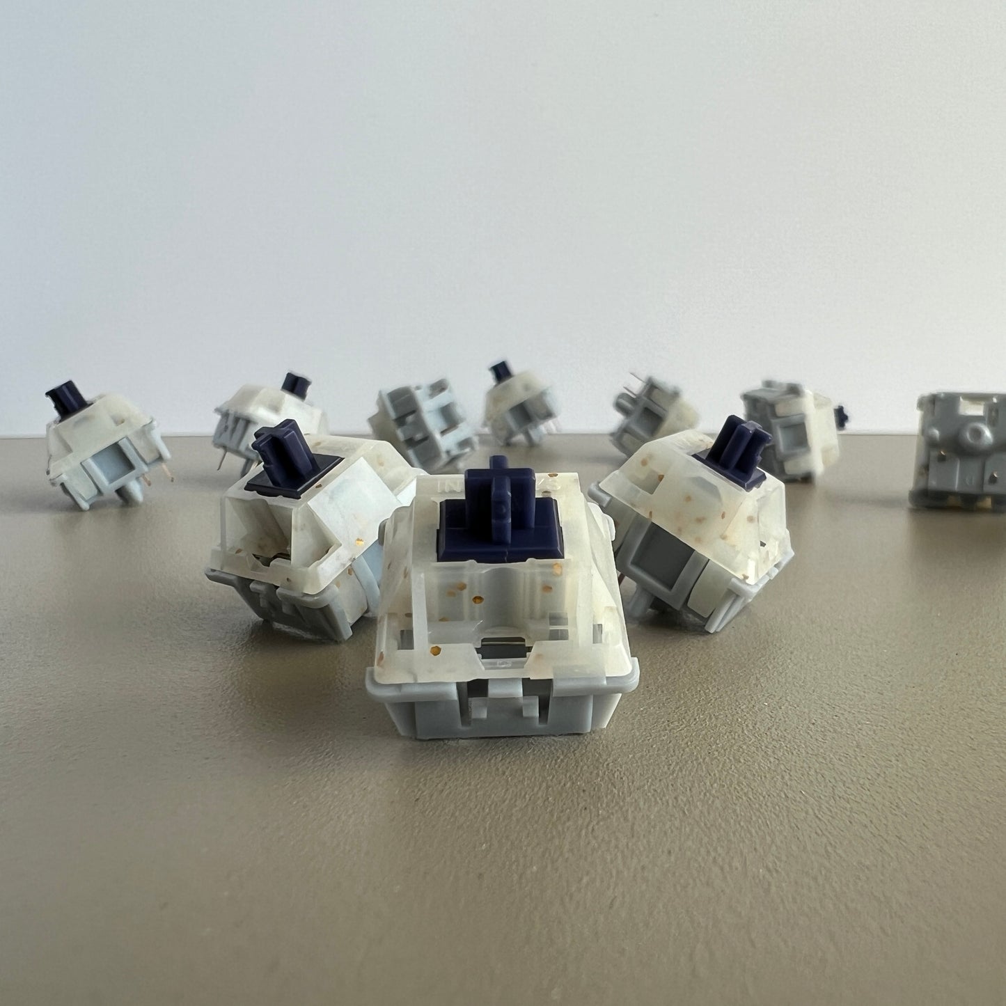 Pea Flower Switches Closeup Product Photo