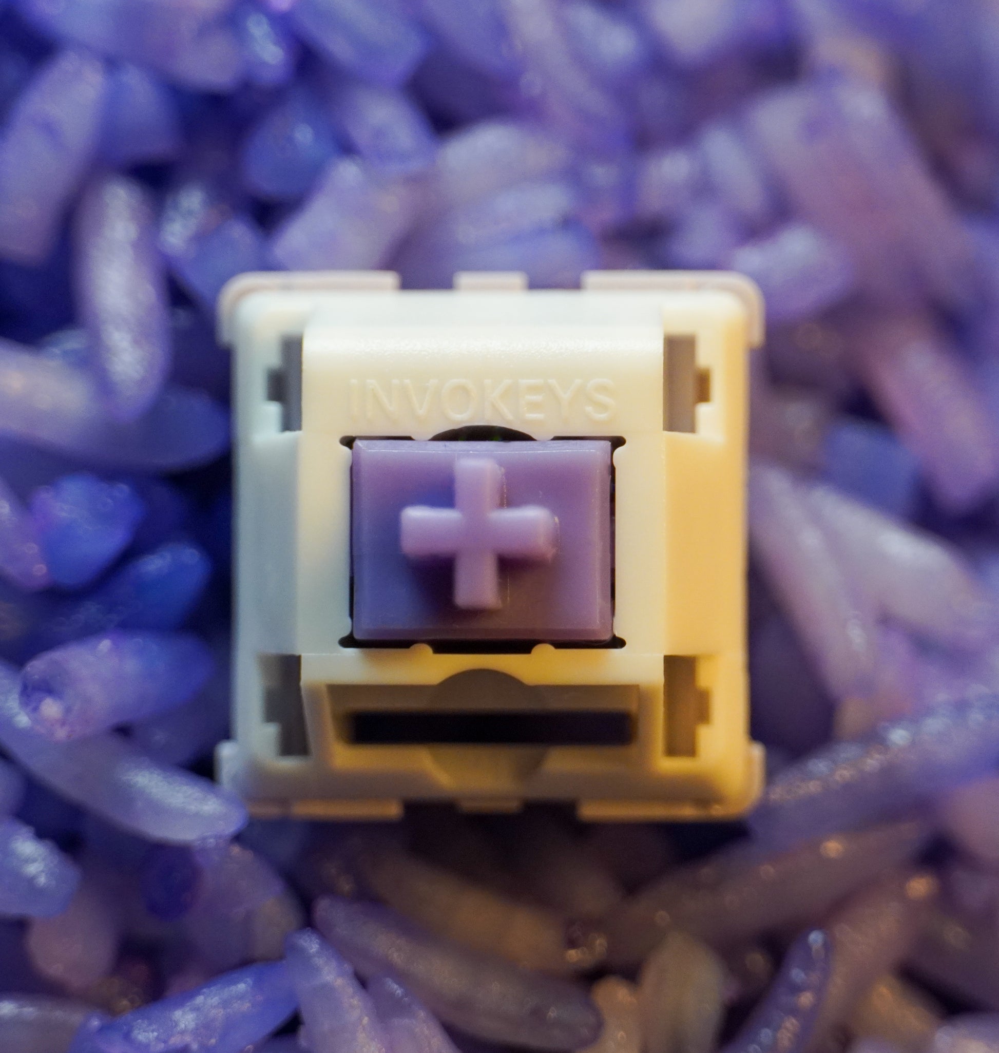 Purple Rice Switches Closeup